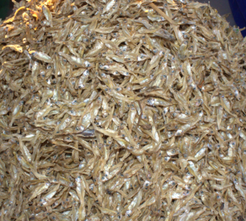 Unsalted Nsensa