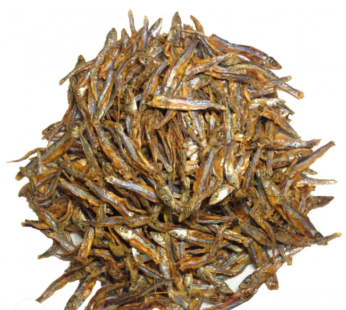 Small Ndakala