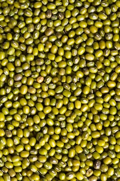 Green madesu